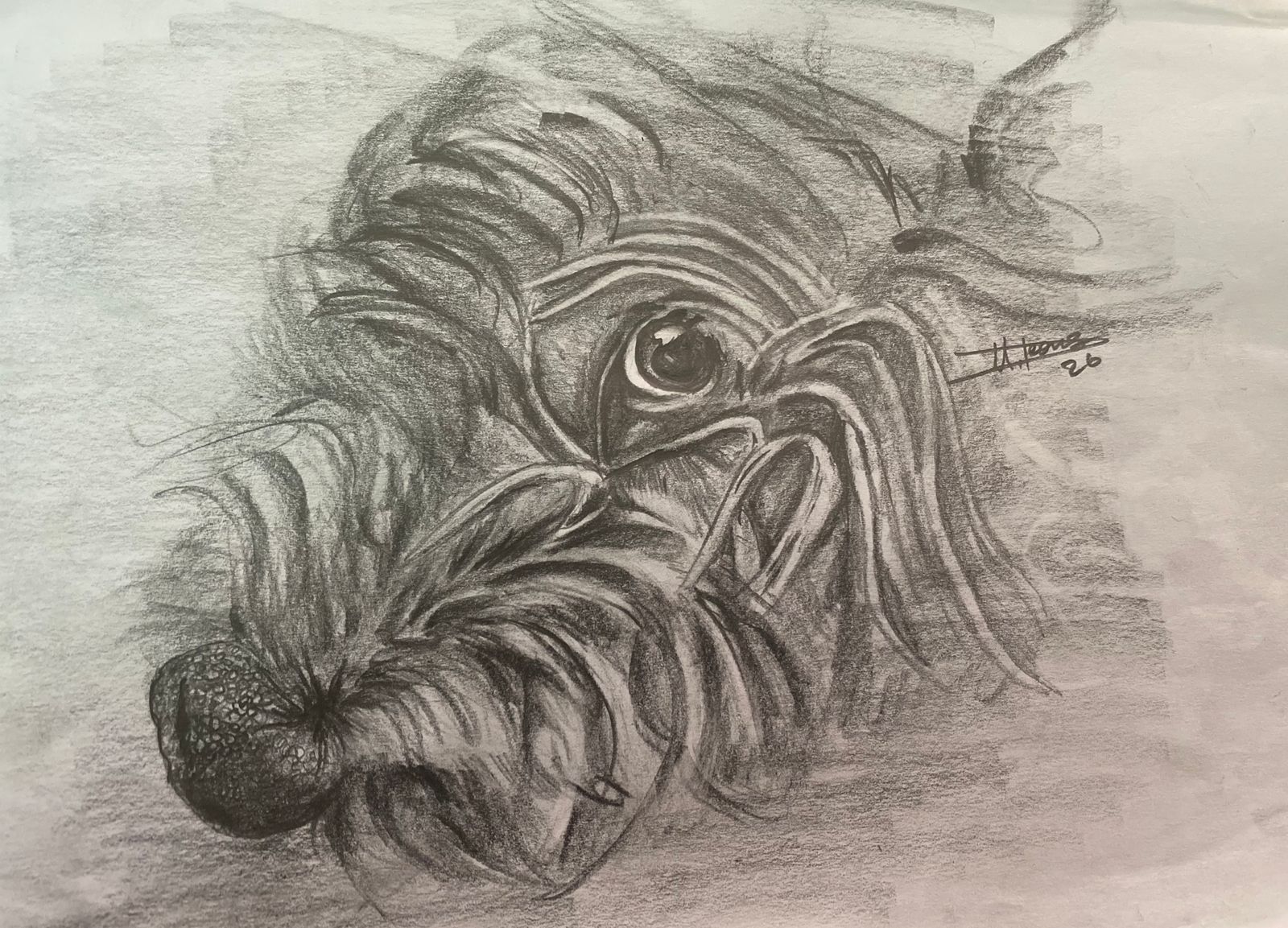 Ocean's Gaze